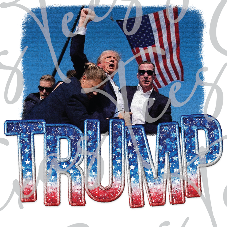 Trump Fist Up (DTF) stt02