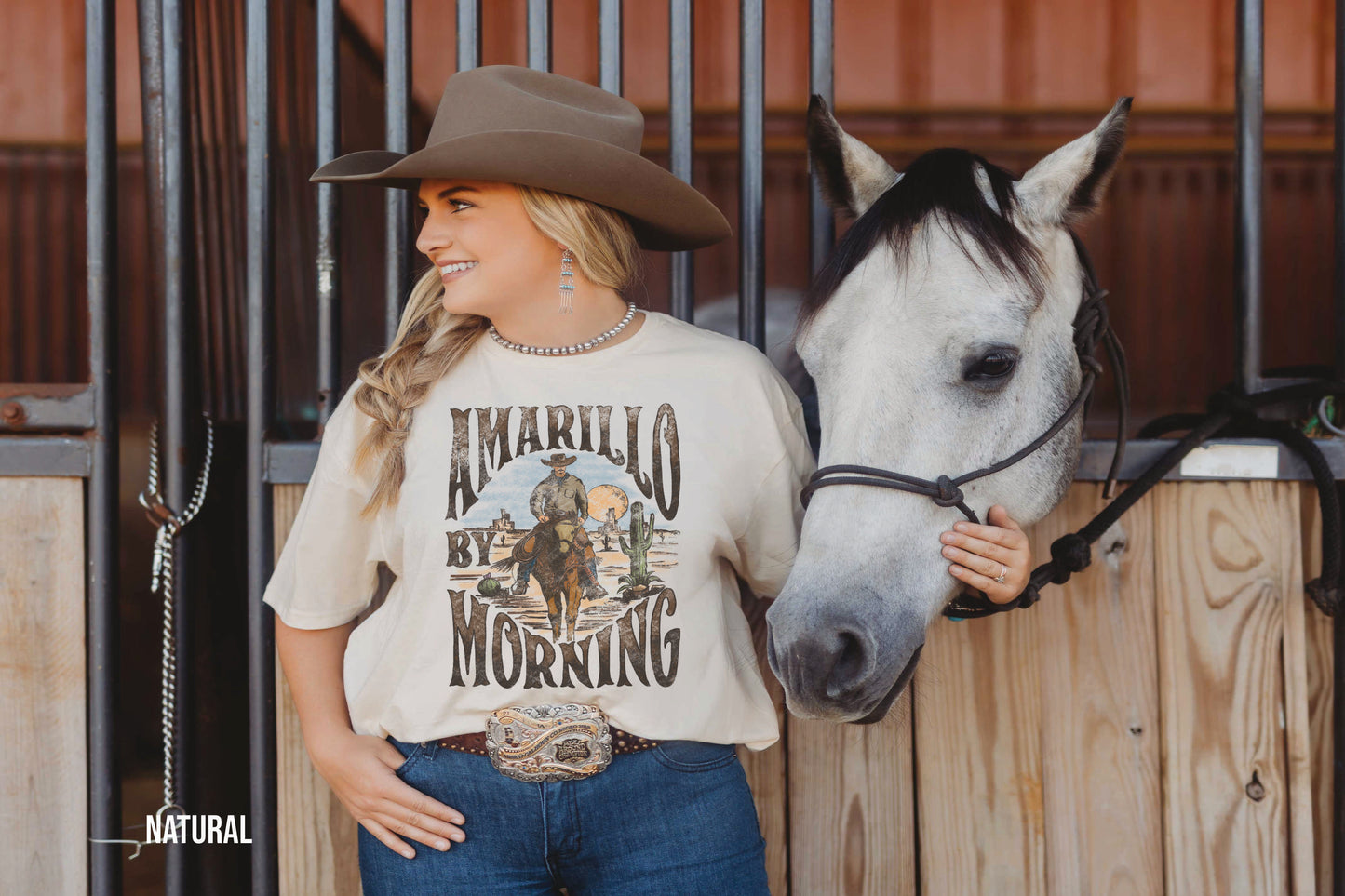 Amarillo By Morning Distressed (DTF) 1241