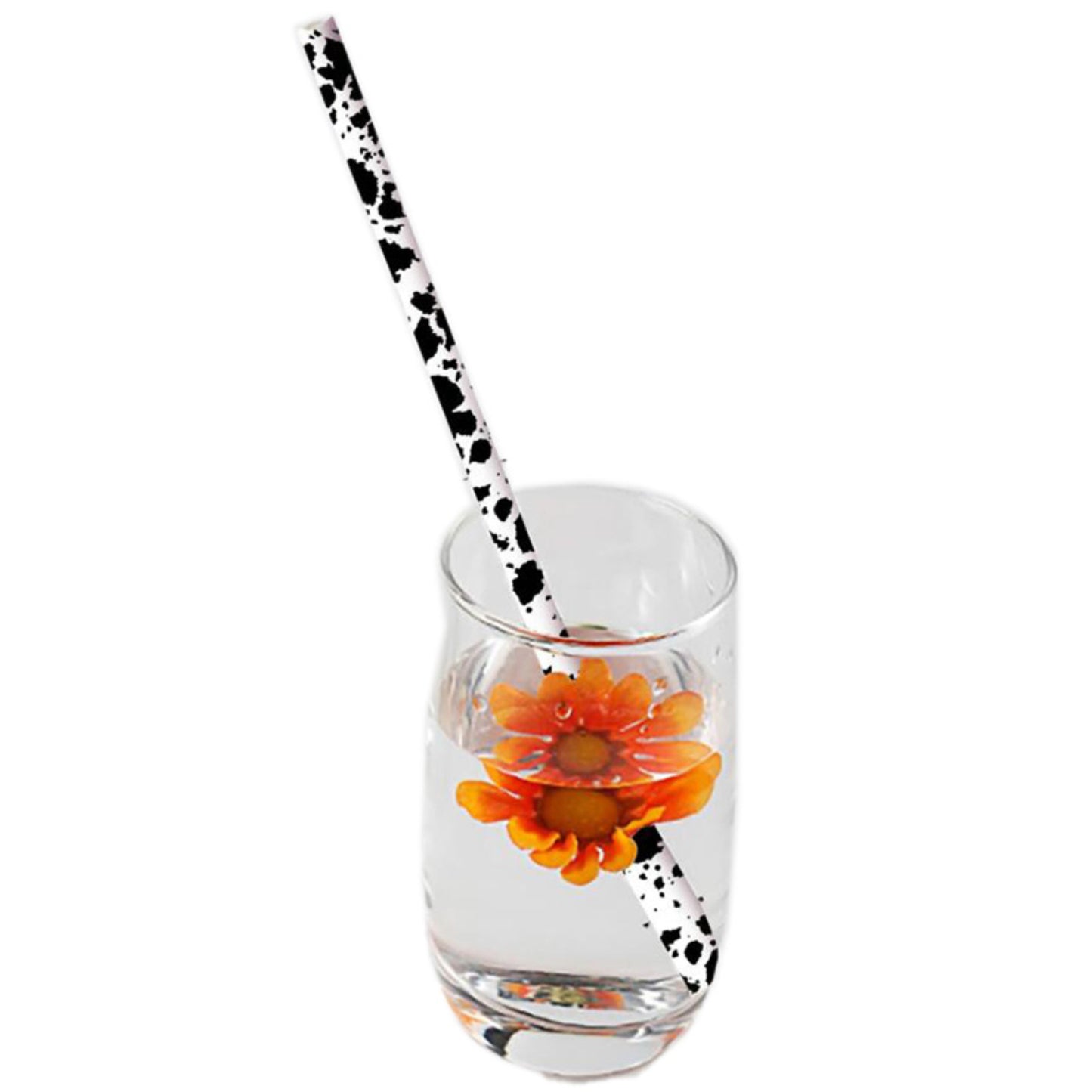 Reusable Pattern Straws