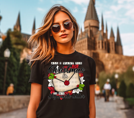 All I want for Christmas is my Hogwarts Letter (DTF) 12-450