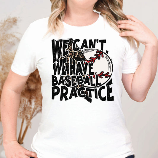 We Can’t we have Baseball Practice (DTF) 351SUP