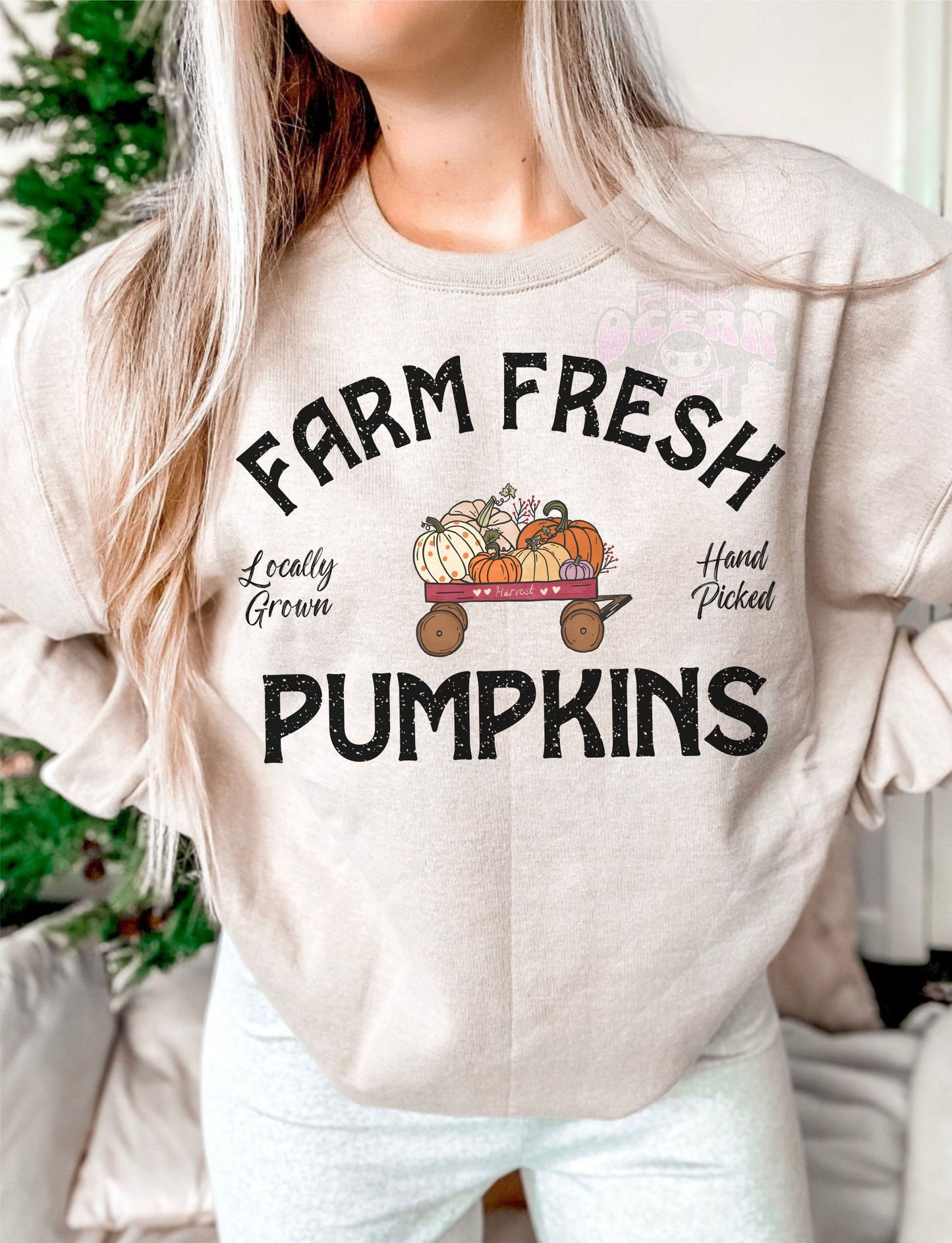 FARM FRESH PUMPKINS (DTF) 379AZ