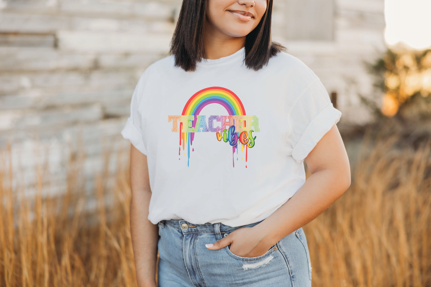 TEACHER VIBES RAINBOW  (DTF) 4249KPI