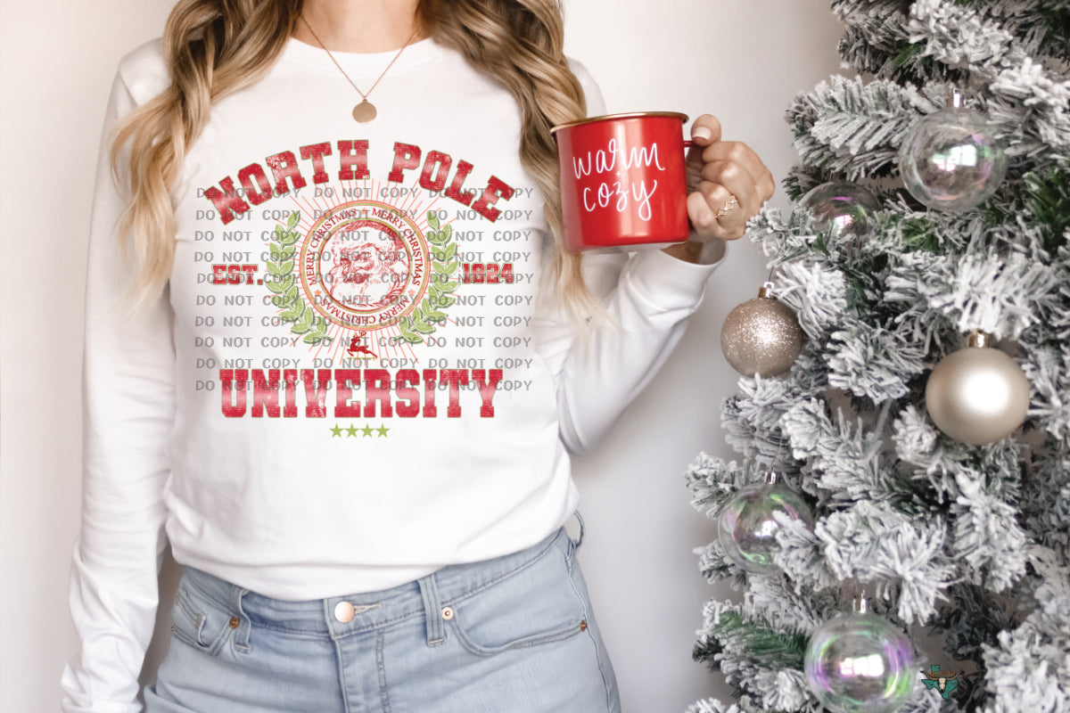 North Pole University DTF Transfer DTF 12-405