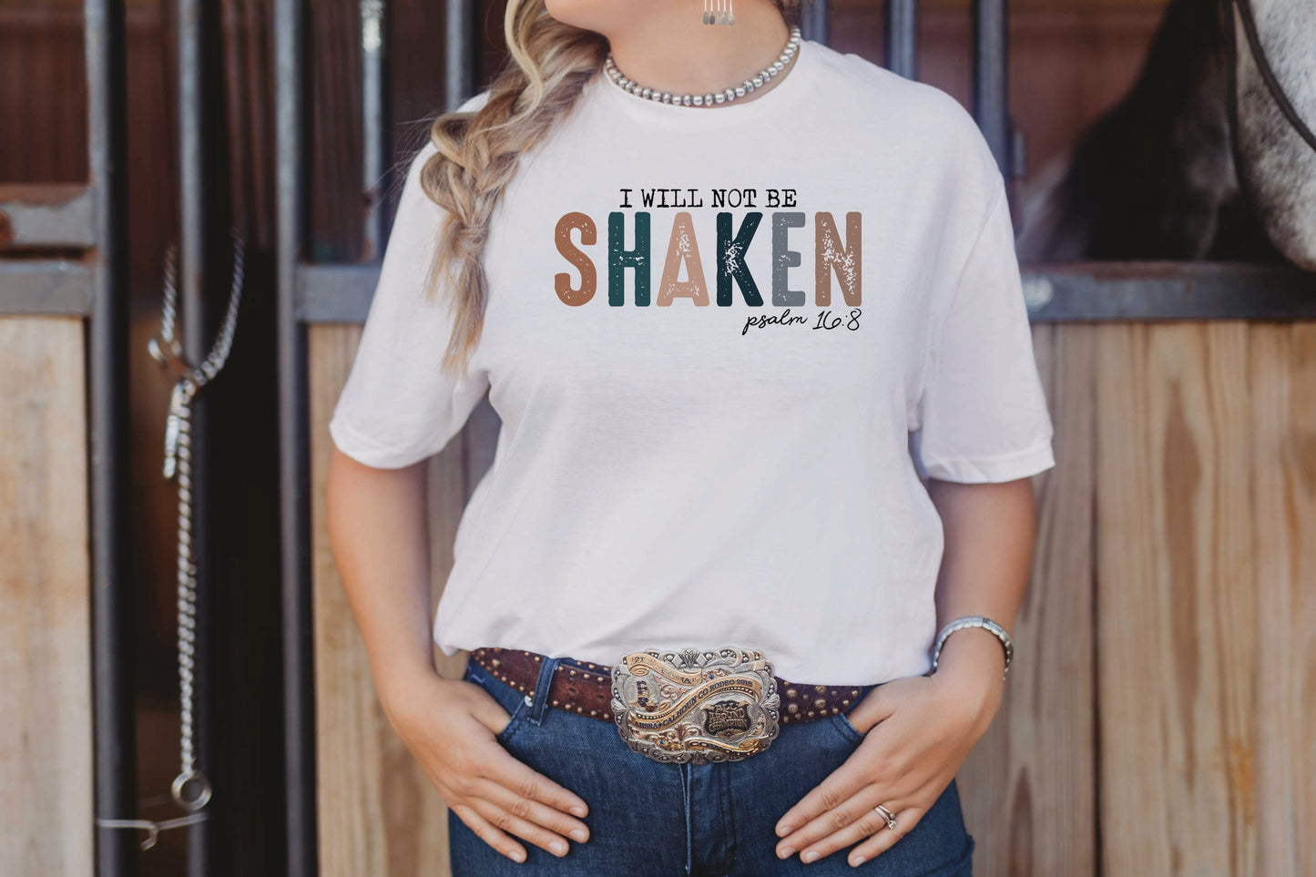 I WILL NOT BE SHAKEN (DTF) 381PO