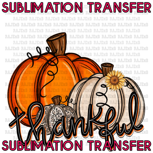 Thankful Pumpkins - SUBLIMATION TRANSFER 4138SUB