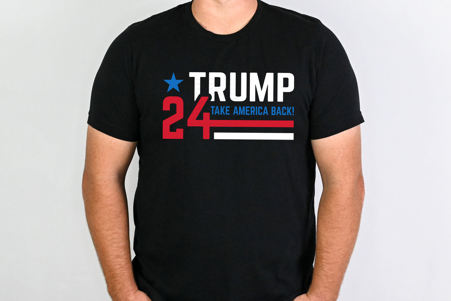 Take America Back-Trump 2024 (DTF) 913